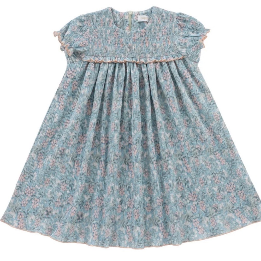 Smocked Blue Floral Baby Dress with Pink Accents
